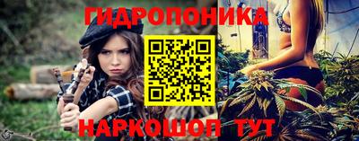 индика Кунгур