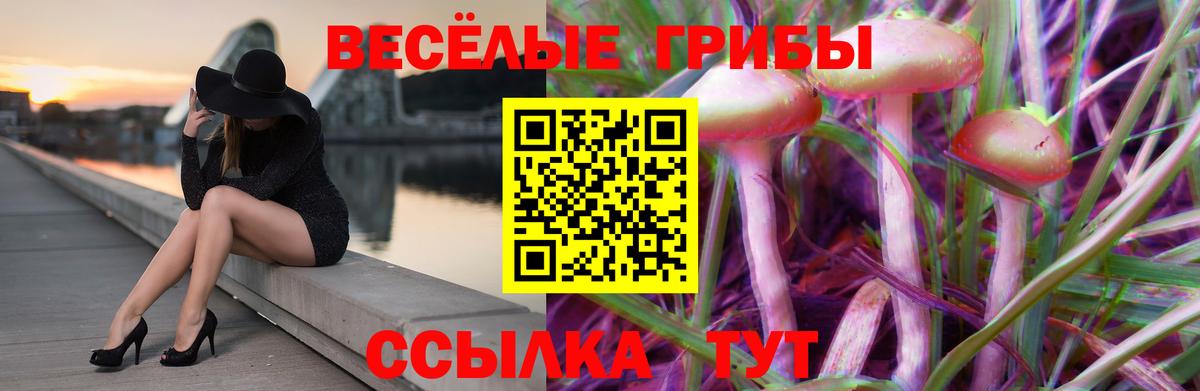 Псилоцибиновые грибы Psilocybine cubensis  Псилоцибиновые грибы MAGIC MUSHROOMS  Ивантеевка  купить наркотики сайты  Вход с VPN 