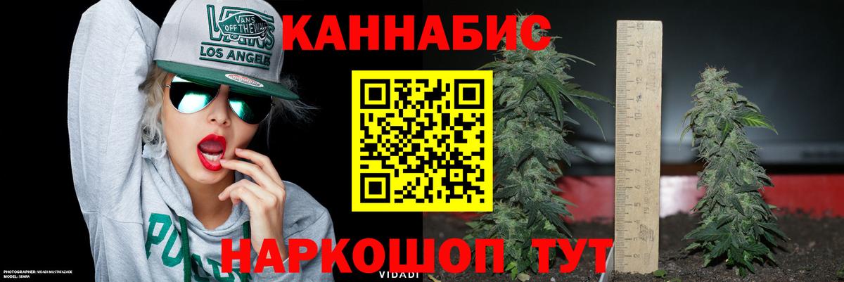 Конопля OG Kush Ивантеевка